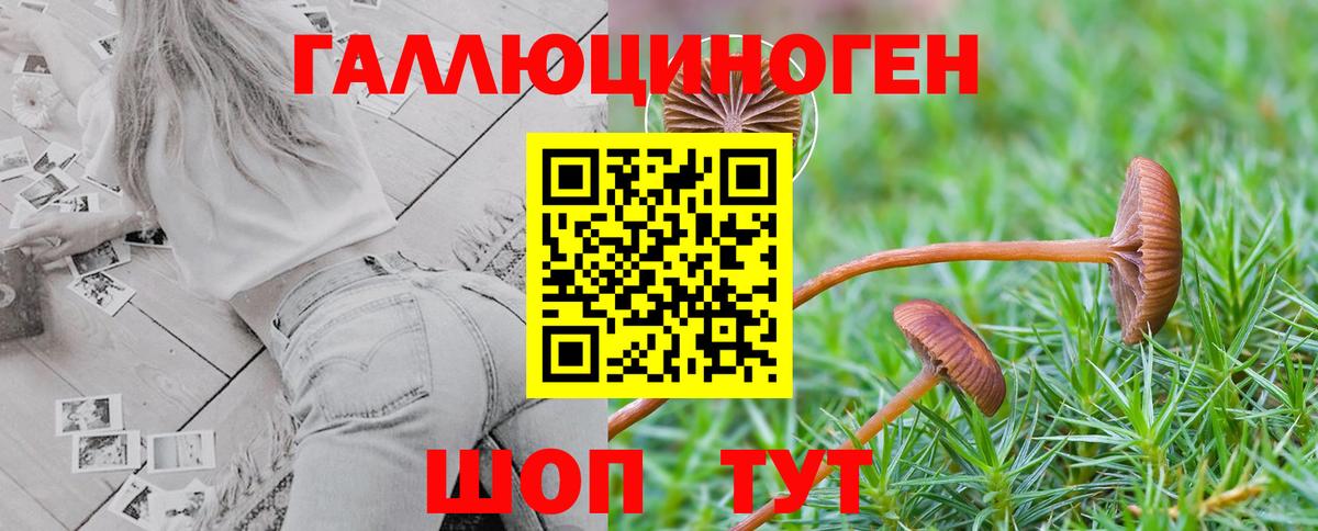 Галлюциногенные грибы Magic Shrooms  Вход с VPN  Галлюциногенные грибы Magic Shrooms  наркота  Первоуральск 